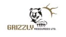 grizzly+logo